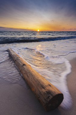 Baltık Denizi 'nde günbatımında tahta direk sahile vurmuş.. 