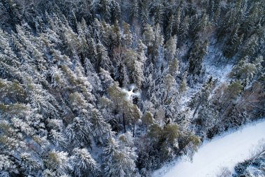 Kış mevsiminde ormanın hava manzarası