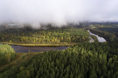 Sonbahar mevsiminde sisli gökyüzü ile ormanın havadan görünüşü
