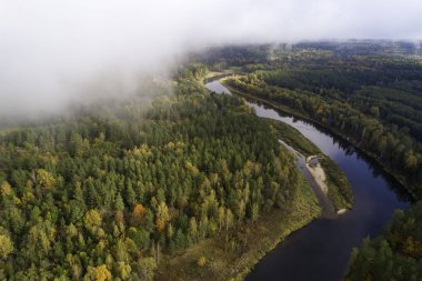 Sonbahar mevsiminde sisli gökyüzü ile ormanın havadan görünüşü