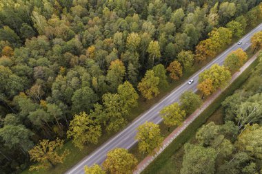 Sonbahar mevsiminde ormanın havadan görünüşü