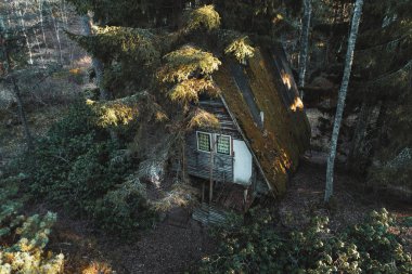 Çam ormanındaki ahşap kulübe. Bahar günbatımı manzarası. Lacupite 'deki botanik bahçesi. Letonya.