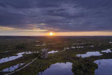 Bataklıkta gün batımı, altın bataklık, göller ve doğa. Yazın gün batımı akşam ışığı