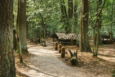 Tervete, Letonya - 18 Ağustos 2018: Cücelerin peri evleri ve Tervete doğa parkının ormanlarında yapılmış ahşap figürler.