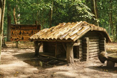 Tervete, Letonya - 18 Ağustos 2018: Cücelerin peri evleri ve Tervete doğa parkının ormanlarında yapılmış ahşap figürler.