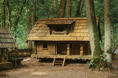 Tervete, Letonya - 18 Ağustos 2018: Cücelerin peri evleri ve Tervete doğa parkının ormanlarında yapılmış ahşap figürler.