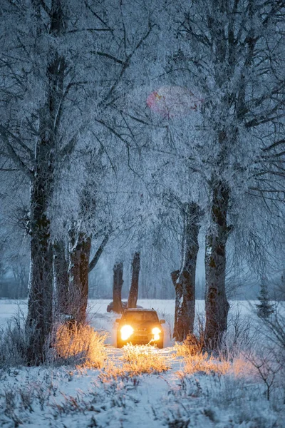 Prowadzenie Samochodu Lesie Zimowym Koncepcja Podróży — Zdjęcie stockowe