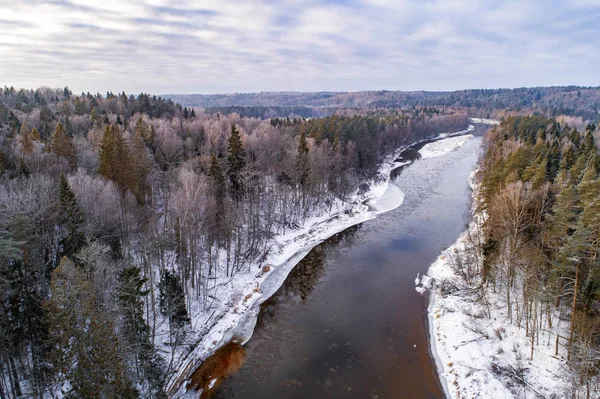 Vue Aérienne Forêt Pendant Saison Hivernale — Photo