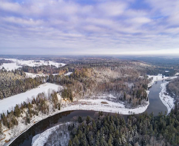 Vue Aérienne Forêt Pendant Saison Hivernale — Photo