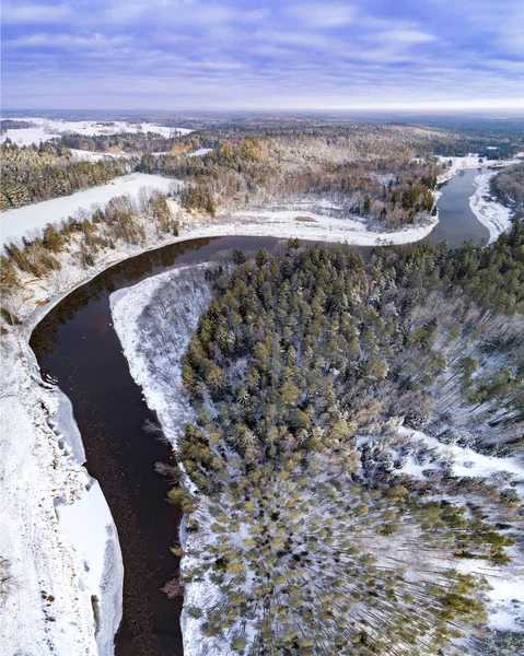 Vue Aérienne Forêt Pendant Saison Hivernale — Photo