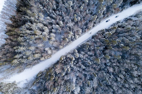 Vista Aérea Del Bosque Durante Temporada Invierno — Foto de Stock