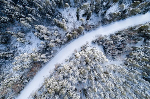 Vista Aérea Del Bosque Durante Temporada Invierno — Foto de Stock