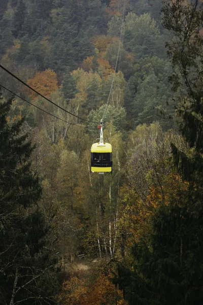 秋の霧に覆われた森のケーブルカーの風景 — ストック写真