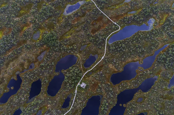 Закат Болоте Золотом Болоте Озерах Природной Среде Летний Закат — стоковое фото