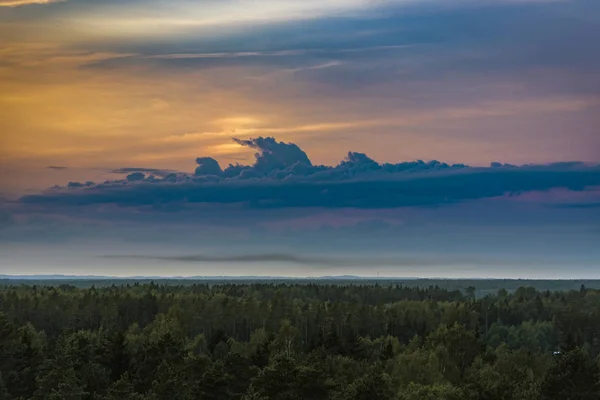 Prachtige Kleurrijke Zonsondergang Hemel Een Groen Bos Bodem — Stockfoto