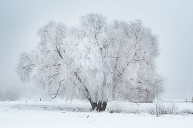 güzel doğa manzarası, seyahat konsepti  