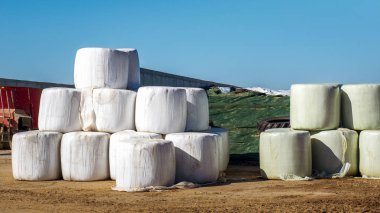 Kırsal kesimdeki çiftlikte sarılı saman ruloları. Kışın inekler için yiyecek ve yatak..