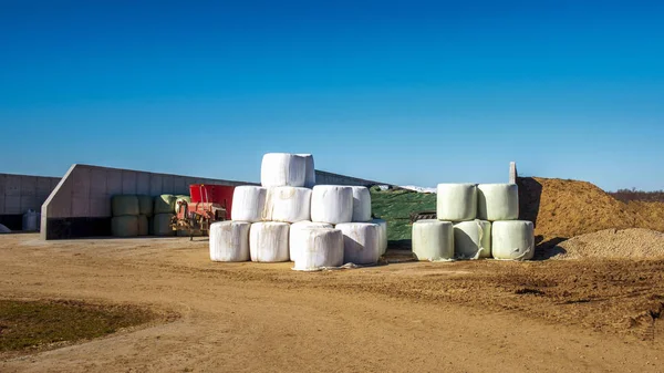 Rolos Feno Embrulhados Fazenda Rural Comida Roupa Cama Para Vacas — Fotografia de Stock