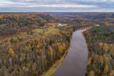 Gauja Ulusal Parkı, Sigulda, Letonya 'da sonbahar mevsiminde yoğun renkli orman ve nehir Gauja
