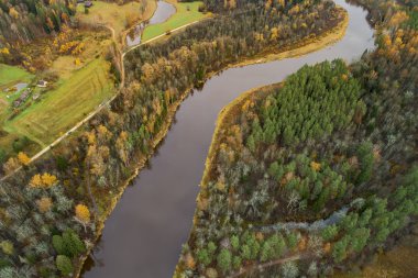 Gauja Ulusal Parkı, Sigulda, Letonya 'da sonbahar mevsiminde yoğun renkli orman ve nehir Gauja