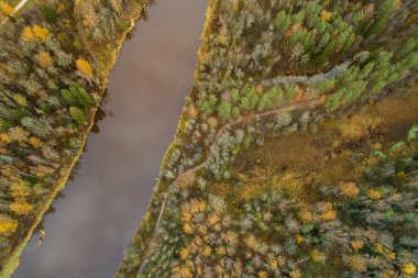 Gauja Ulusal Parkı, Sigulda, Letonya 'da sonbahar mevsiminde yoğun renkli orman ve nehir Gauja