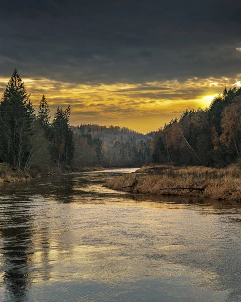 Sunset Forest River Gauja — Stock Photo, Image