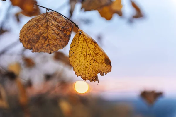 Pôr Sol Dramático Temporada Outono Conceito Beleza Natureza — Fotografia de Stock