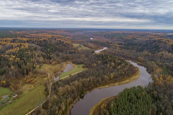 Forêt Colorée Épaisse Rivière Gauja Automne Dans Parc National Gauja — Photo