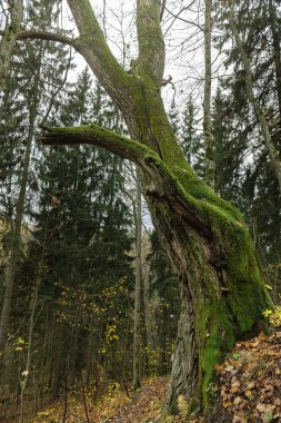 güzel doğa manzarası, seyahat konsepti  