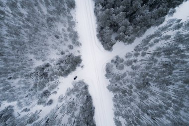 Kış manzarası, karla kaplı çam ağaçları. Yukarıdan bir İHA ile yakalandı..