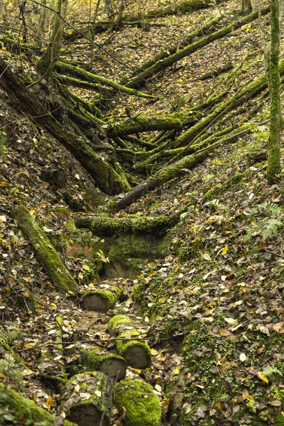 Schöne Naturlandschaft Reisekonzept — Stockfoto