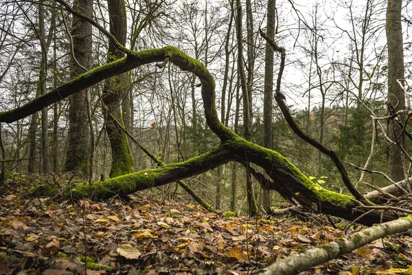 Schöne Naturlandschaft Reisekonzept — Stockfoto