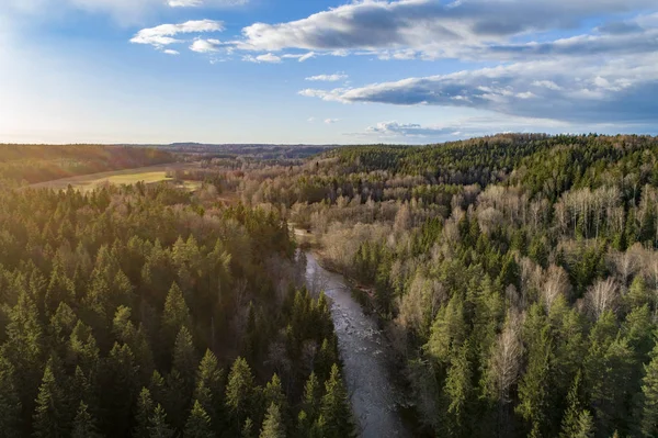 Vue Aérienne Une Rivière Une Forêt Verdoyante Par Une Journée — Photo