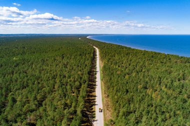 Yeşil ormanın havadan görünüşü ve güneşli bir günde yukarıdan çekilen bir yol.