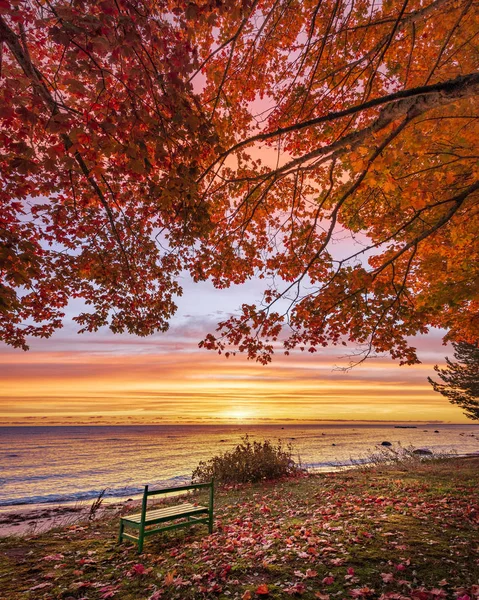 Sonbahar mevsiminde nehirde dramatik gün batımı