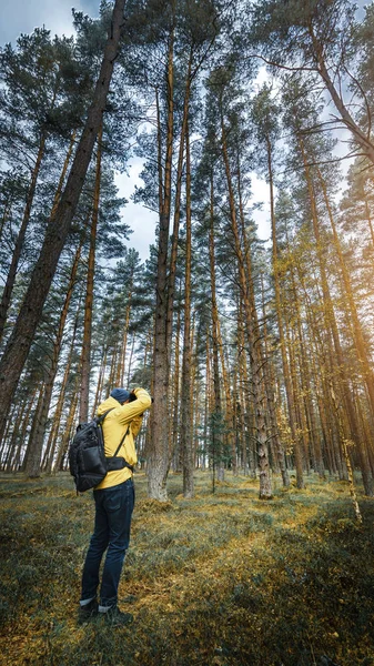 森林旅行中提背包的徒步旅行者 — 图库照片