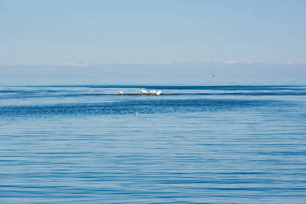 Sakin Mavi Deniz Suyu — Stok fotoğraf