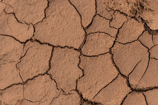 Dried out red clay dirt with cracks