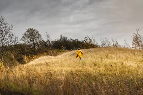 Gün batımında uzun çimenlerde sarı yağmurluklu genç bir kadın.