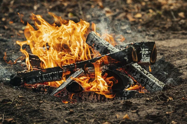 Vue Rapprochée Feu Camp Fond Forêt Sombre Lors Une Froide — Photo