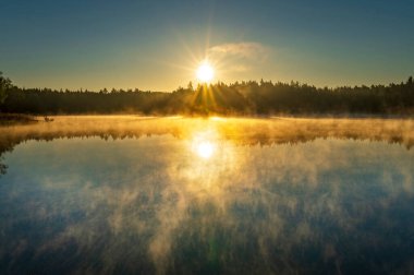 Ormanda soğuk bir yaz sabahı. Göl, orman yansıması ve rengarenk gündoğumu sırasında su yüzeyinde sis..