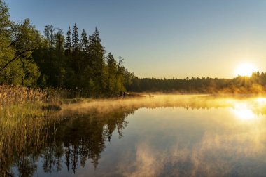 Ormanda soğuk bir yaz sabahı. Göl, orman yansıması ve rengarenk gündoğumu sırasında su yüzeyinde sis..