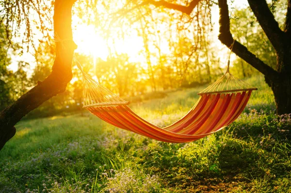Güzel günbatımında ağaçta sallanan hamak.