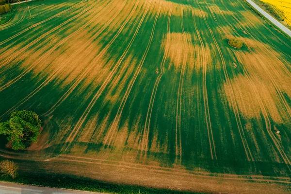 Zielone Żółte Pole Rolnicze Góry Schwytane Dronem Podczas Zachodu Słońca — Zdjęcie stockowe
