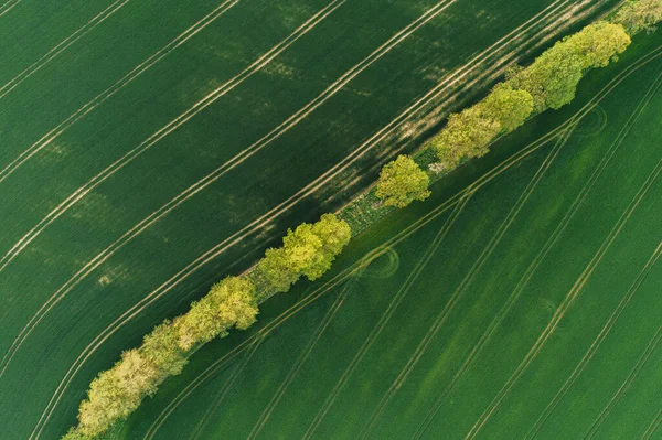 Zielone Żółte Pole Rolnicze Góry Schwytane Dronem Podczas Zachodu Słońca — Zdjęcie stockowe