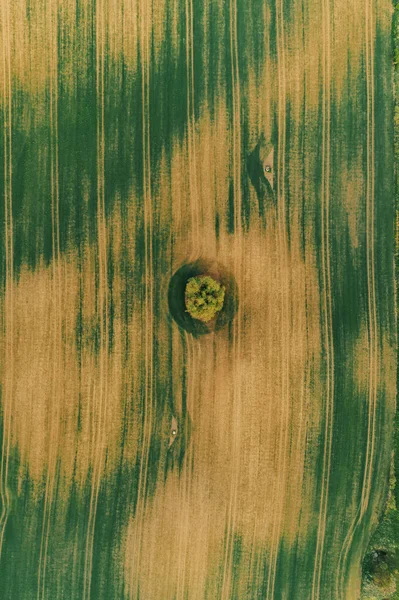 Campo Agricultura Verde Amarelo Cima Capturado Com Drone Durante Pôr — Fotografia de Stock