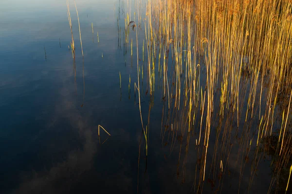 호수에 오렌지 안개를 머금은 — 스톡 사진