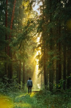 Ormanda kot ceketli bir adam, gün doğumunda ormanda güneş ışınlarıyla parıldıyor..