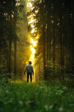 Ormanda kot ceketli bir adam, gün doğumunda ormanda güneş ışınlarıyla parıldıyor..