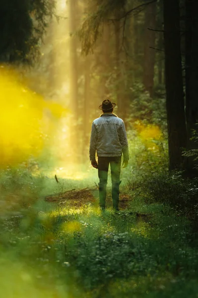 Man Spijkerjasje Bos Tijdens Dromerige Zonsopgang Met Zonnestralen Die Door — Stockfoto